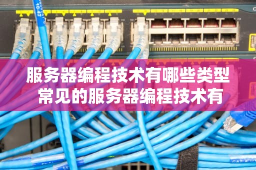 服务器编程技术有哪些类型 常见的服务器编程技术有