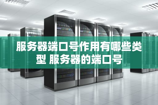 服务器端口号作用有哪些类型 服务器的端口号