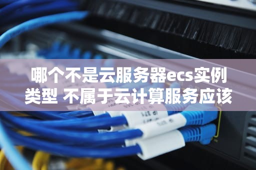 哪个不是云服务器ecs实例类型 不属于云计算服务应该具备的特征