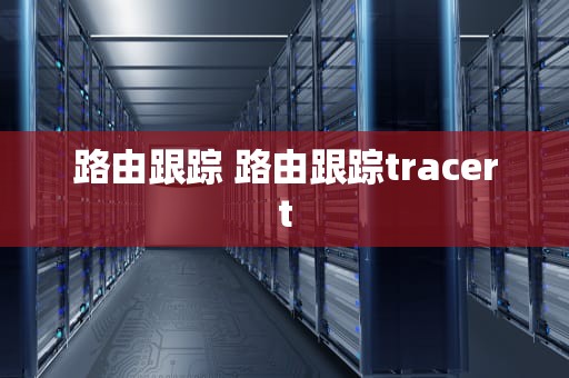 路由跟踪 路由跟踪tracert