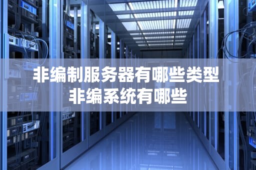 非编制服务器有哪些类型 非编系统有哪些