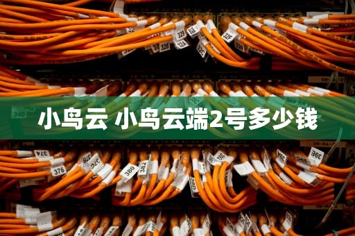 小鸟云 小鸟云端2号多少钱