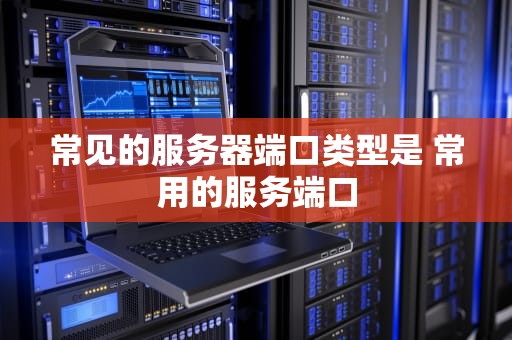 常见的服务器端口类型是 常用的服务端口