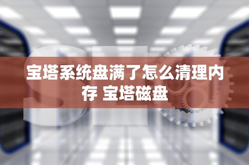 宝塔系统盘满了怎么清理内存 宝塔磁盘