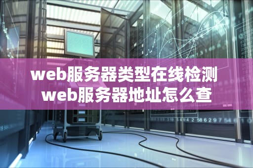 web服务器类型在线检测 web服务器地址怎么查
