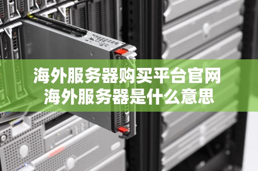 海外服务器购买平台官网 海外服务器是什么意思