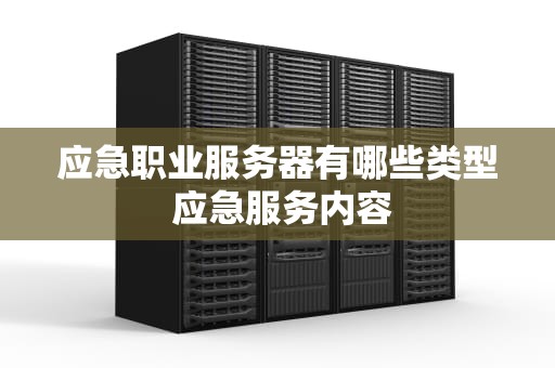 应急职业服务器有哪些类型 应急服务内容