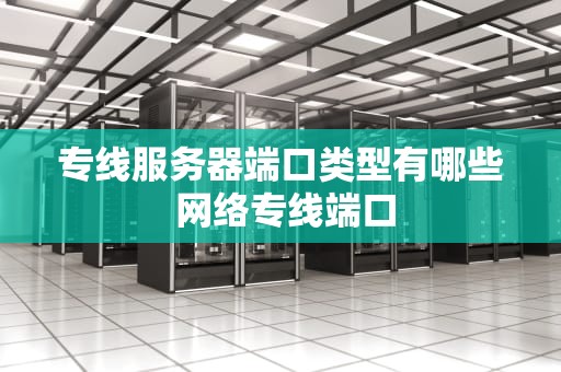专线服务器端口类型有哪些 网络专线端口