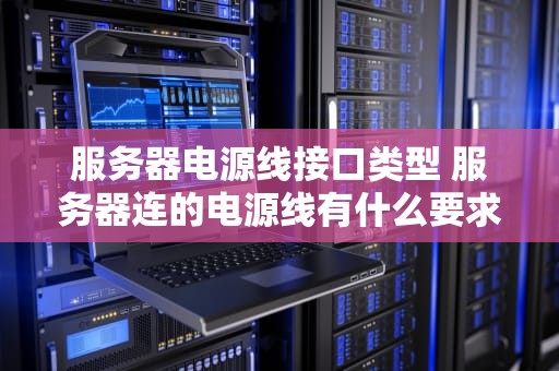 服务器电源线接口类型 服务器连的电源线有什么要求