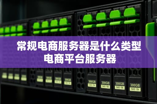 常规电商服务器是什么类型 电商平台服务器