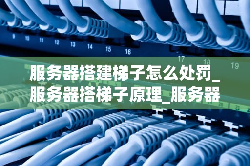 服务器搭建梯子怎么处罚_服务器搭梯子原理_服务器搭建梯子的法律责任与处罚