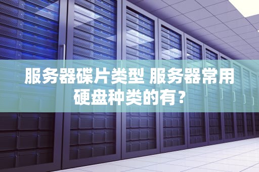 服务器碟片类型 服务器常用硬盘种类的有？