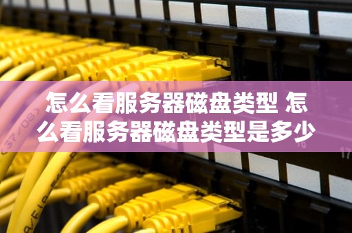 怎么看服务器磁盘类型 怎么看服务器磁盘类型是多少