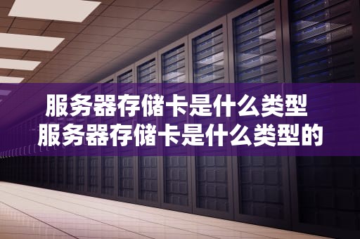 服务器存储卡是什么类型 服务器存储卡是什么类型的