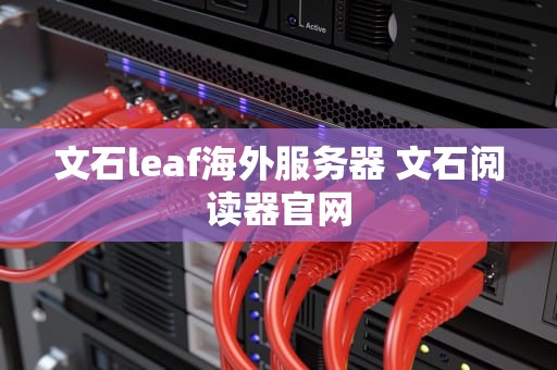 文石leaf海外服务器 文石阅读器官网