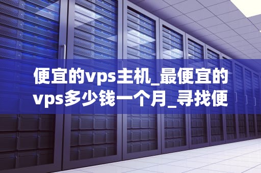 便宜的vps主机_最便宜的vps多少钱一个月_寻找便宜的VPS主机：一场性价比的探索