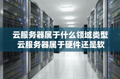 云服务器属于什么领域类型 云服务器属于硬件还是软件