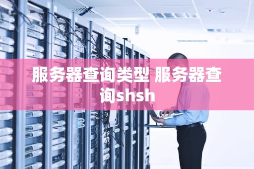 服务器查询类型 服务器查询shsh