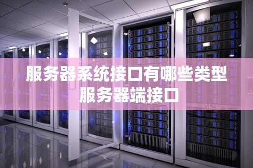 服务器系统接口有哪些类型 服务器端接口
