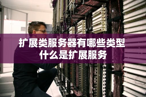 扩展类服务器有哪些类型 什么是扩展服务