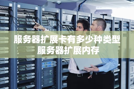 服务器扩展卡有多少种类型 服务器扩展内存