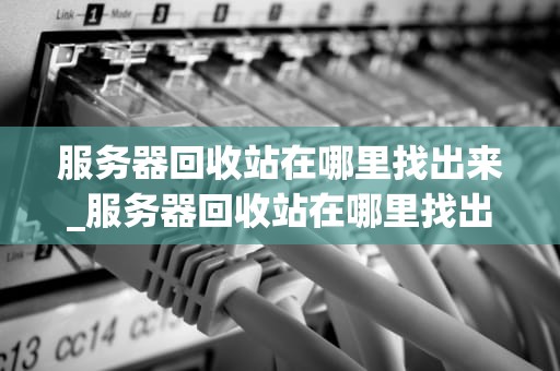 服务器回收站在哪里找出来_服务器回收站在哪里找出来啊_服务器回收站的查找与管理