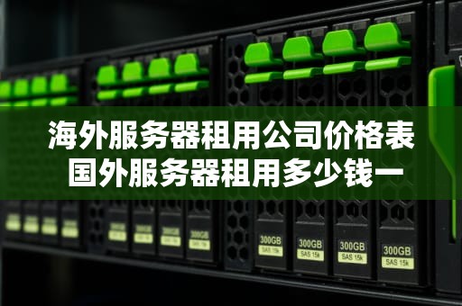 海外服务器租用公司价格表 国外服务器租用多少钱一年