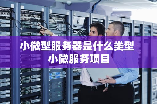 小微型服务器是什么类型 小微服务项目