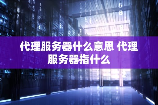 代理服务器什么意思 代理服务器指什么