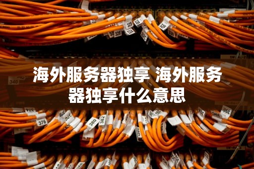海外服务器独享 海外服务器独享什么意思