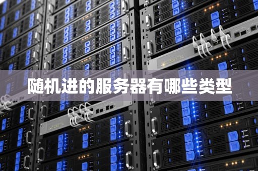 随机进的服务器有哪些类型