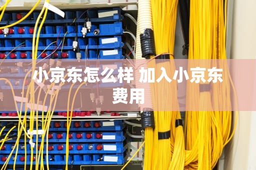 小京东怎么样 加入小京东费用