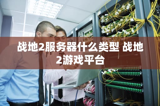 战地2服务器什么类型 战地2游戏平台