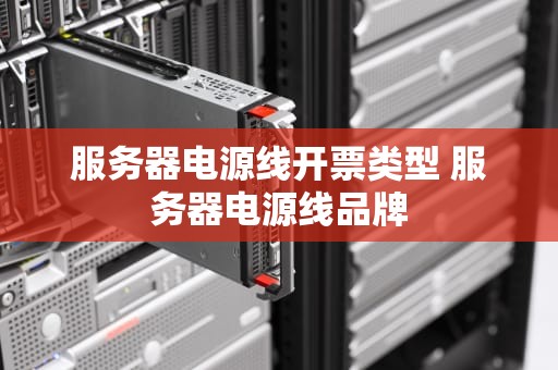 服务器电源线开票类型 服务器电源线品牌