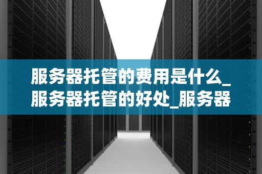 服务器托管的费用是什么_服务器托管的好处_服务器托管的费用及其影响因素
