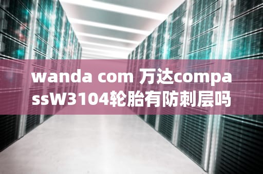 wanda com 万达compassW3104轮胎有防刺层吗