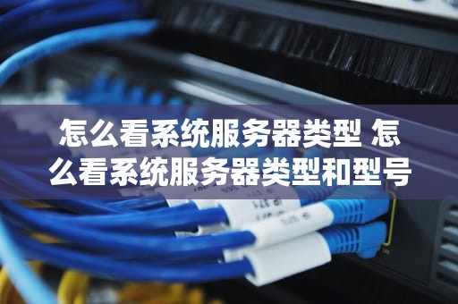 怎么看系统服务器类型 怎么看系统服务器类型和型号