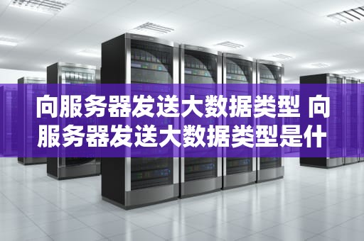 向服务器发送大数据类型 向服务器发送大数据类型是什么