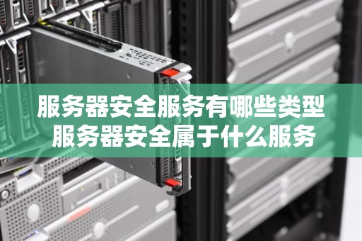 服务器安全服务有哪些类型 服务器安全属于什么服务