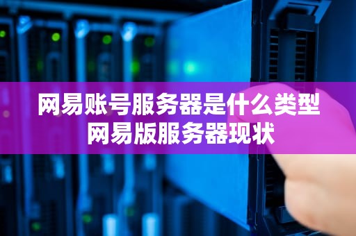 网易账号服务器是什么类型 网易版服务器现状
