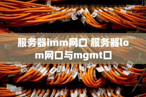 服务器imm网口 服务器lom网口与mgmt口