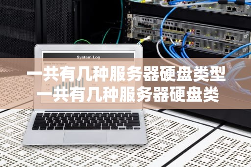 一共有几种服务器硬盘类型 一共有几种服务器硬盘类型的