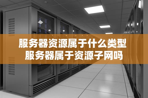 服务器资源属于什么类型 服务器属于资源子网吗