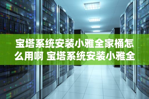 宝塔系统安装小雅全家桶怎么用啊 宝塔系统安装小雅全家桶怎么用啊教程