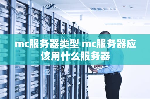mc服务器类型 mc服务器应该用什么服务器