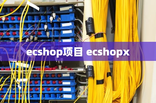 ecshop项目 ecshopx