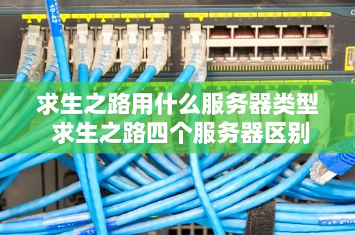求生之路用什么服务器类型 求生之路四个服务器区别