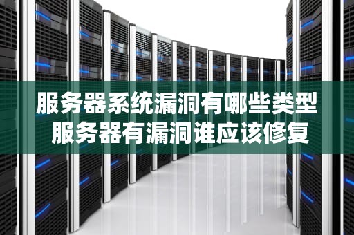 服务器系统漏洞有哪些类型 服务器有漏洞谁应该修复
