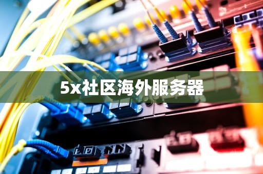 5x社区海外服务器