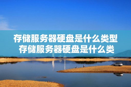 存储服务器硬盘是什么类型 存储服务器硬盘是什么类型的